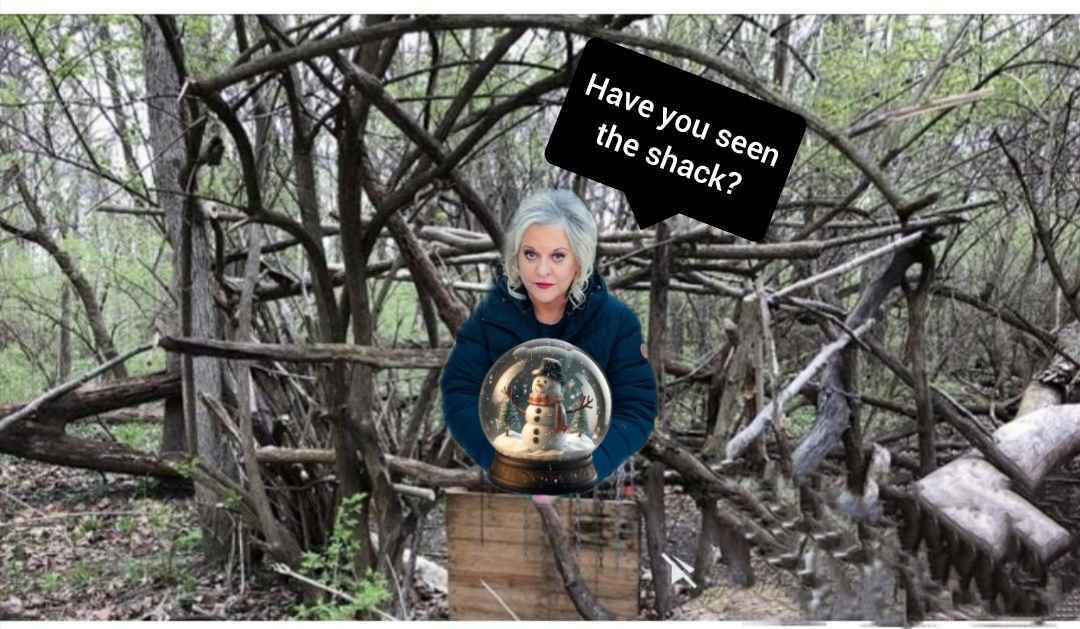 Have you seen the shack?