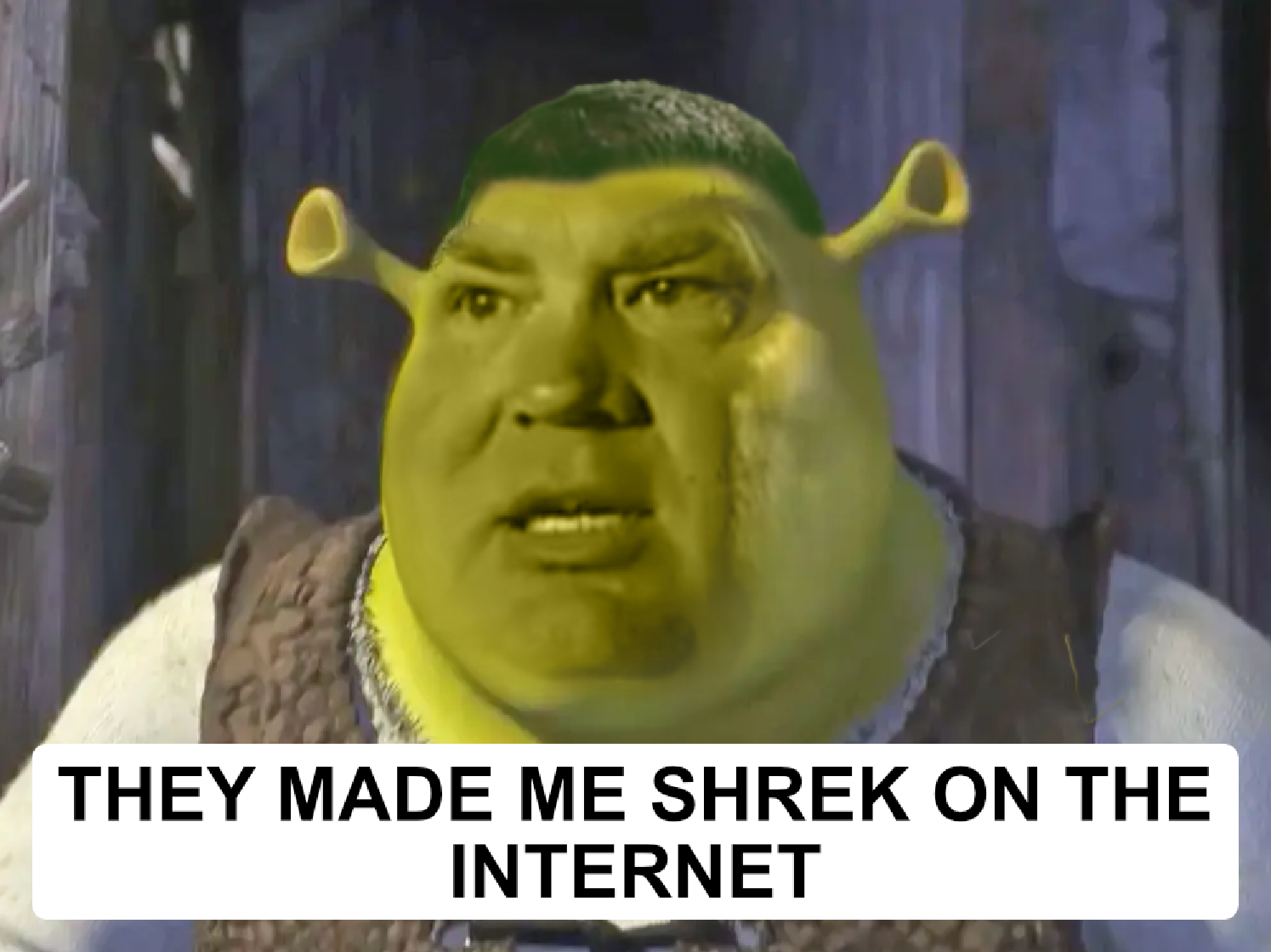 Jerry: They made me Shrek on the internet.