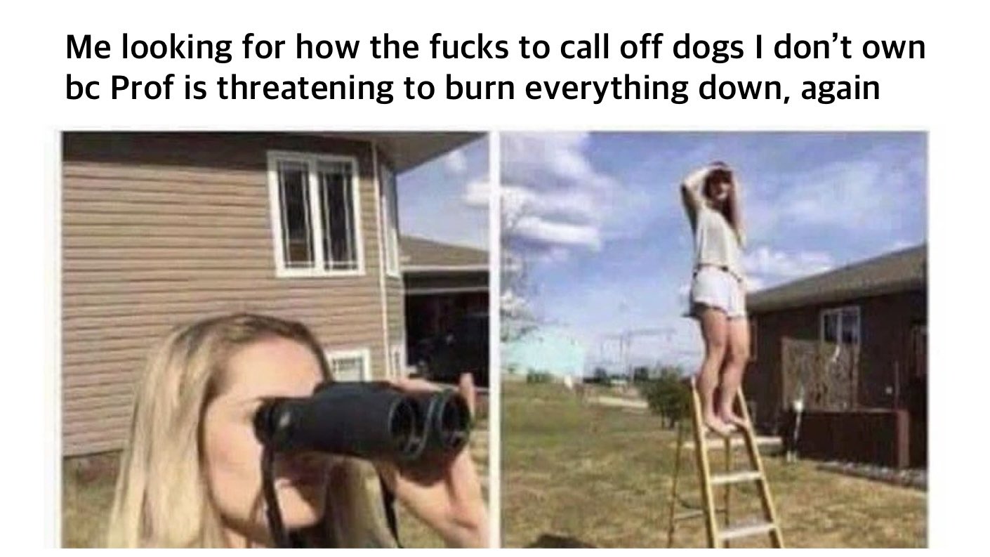 Me looking for the how-the-fucks to call of dogs I don't because Prof is threatening to burn everything down, again.