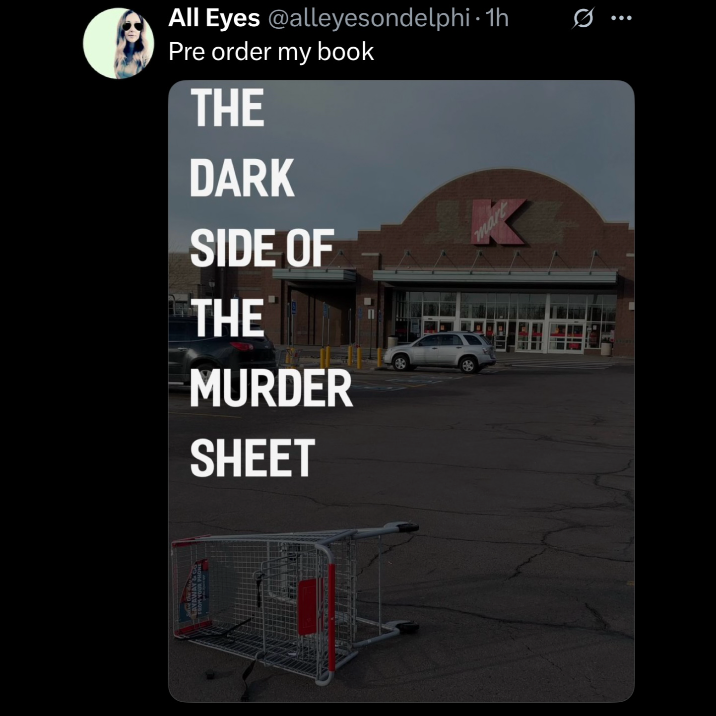 The Dark Side of The Murder Sheet, preorder my book.